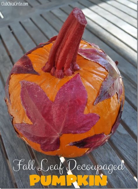 Fall-leaf-decoupaged-pumpkin-craft-idea Decoupage Pumpkins, Fall Craft Ideas, Halloween Pumpkin Stencils, Leaf Pumpkin, Pumpkin Craft, Pretty Pumpkins, Decoupage Ideas, Fall Faves, Fall Festivities