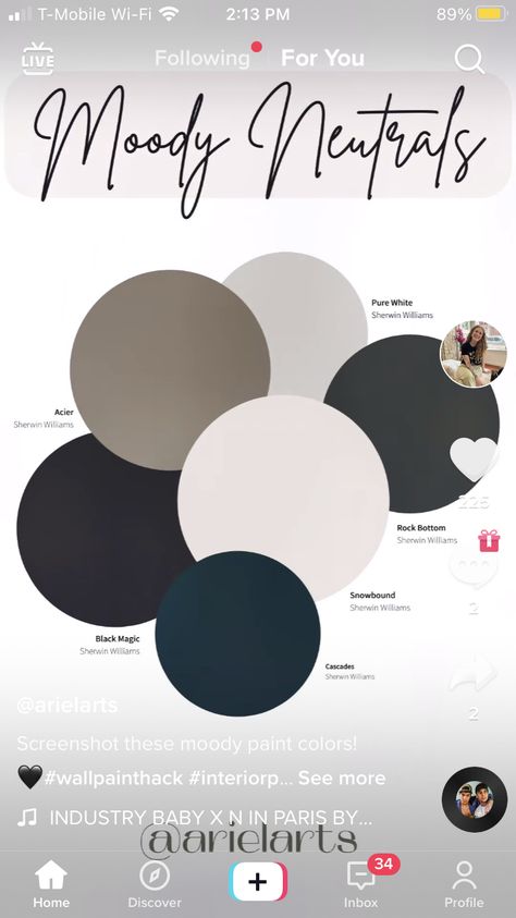 Black And White Home Color Palette, Black Grey Cream Color Palettes, Black Paint Palette, Black Trim Interior Color Schemes Living Room, Home Decor Color Palettes 2023, Moody House Color Palette, Black Magic Paint Sherwin Williams, Colours That Go With Black, Snowbound Color Palette