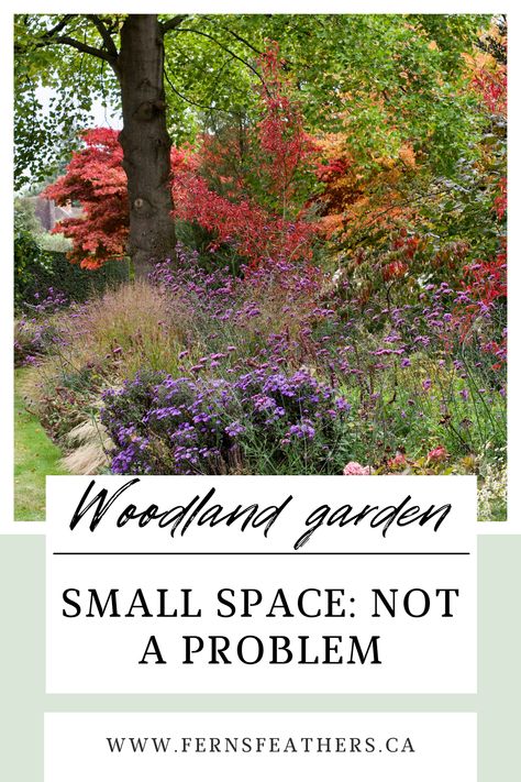 Smaller front and back yards common in today's new homes lend themselves to creating mini woodland-style gardens that are inspired by larger natural spaces. Learn how you can create the woodland feeling in your small space with landscape design and tips that focus on layering in the garden and, for example, using existing trees in your neighbour's yard. Using native plants and trees will also encourage wildlife including birds, butterflies and native bees to your yard. landscape ideas and tips Woodland Front Yard Landscaping, Woodland Garden Ideas, Wooded Backyard Landscape, Yard Landscape Ideas, Sidewalk Landscaping, Native Plant Landscape, Natural Landscaping, Back Yards, Wildlife Garden