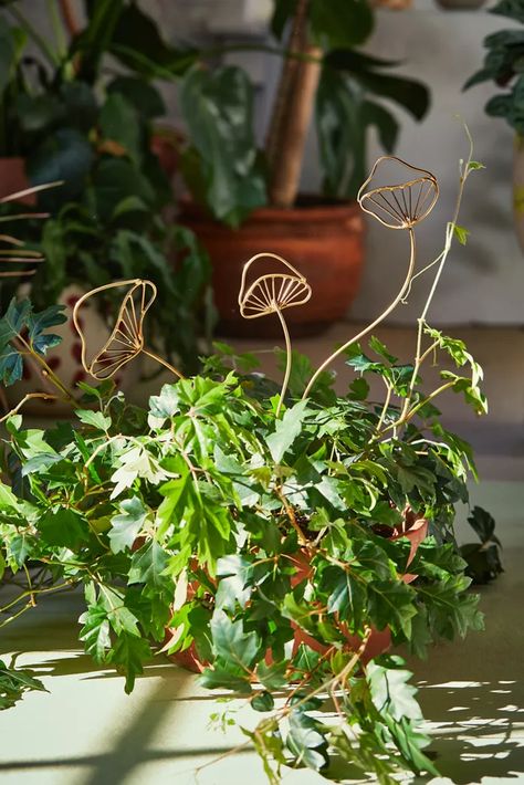 Inside Out Furniture Collection | Urban Outfitters Communal House, Plant Stick, Plant Sticks, Metal Mushroom, Mushroom Plant, Urban Outfitters Home, Plant Jewelry, Pixie Hollow, Plant Supports