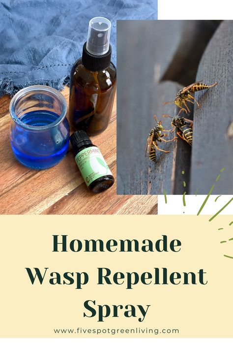 Keep pesky wasps at bay with this easy-to-make homemade wasp repellent spray. Natural Wasp Repellent, Wasp Sting Remedy, Bee Spray, Bee Repellent, Wasp Spray, Peppermint Oil Uses, Wasp Repellent, Repellent Diy, Peppermint Spray