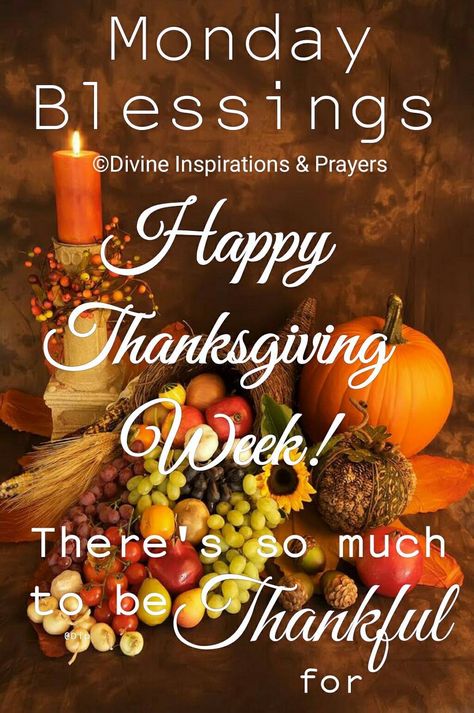 Monday, Thanksgiving week Thanksgiving Week Quotes, Thanksgiving Sunday, Thanksgiving Meme, Happy Thanksgiving Pictures, Happy Thanksgiving Images, Week Quotes, Thanksgiving Messages, Happy Thanksgiving Turkey, Giving Thanks To God