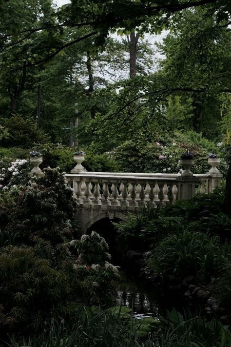 Gothic Garden, Castle Aesthetic, Slytherin Aesthetic, Castle Garden, Photo Vintage, Fantasy Aesthetic, Gothic Architecture, Dark Forest, Nature Aesthetic