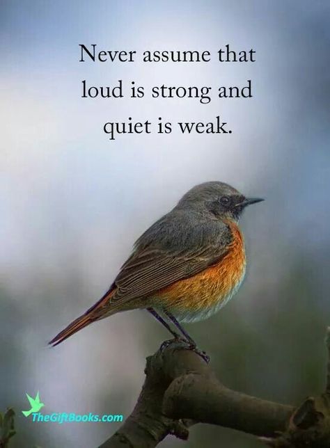 Never assume that loud is strong and quiet is weak. Underestimate Me Quotes, Underestimate Quotes, Coffee Tables Glass, Never Assume, Modern Tv Stands, Dont Underestimate Me, Furniture Coffee Tables, Bird Quotes, Religion Quotes