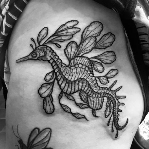 Sea Dragon Tattoo, Seahorse Outline, Ocean Theme Tattoos, Dragon Tattoo Meaning, Dragons Tattoo, Leafy Sea Dragon, Sea Dragons, Seahorse Tattoo, Outline Tattoo