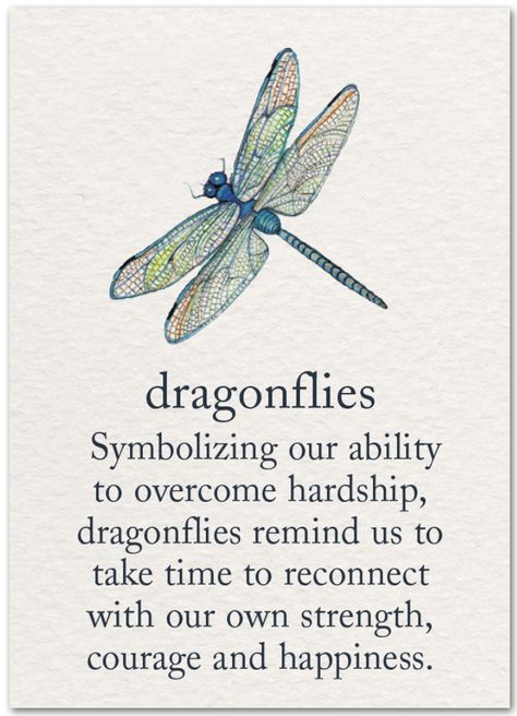 What Do Dragonflies Symbolize, What Does A Dragonfly Symbolize, Dragonfly Quotes Inspiration Sayings, Dragonfly Symbolism Meaning, Dragonfly Wallpaper Iphone, Dragonfly Meaning Spiritual, Dragonfly Background, Cartoon Dragonfly, Dragonfly Meaning