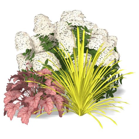 Heuchera 'Georgia Peach', Carex 'Aurea' and Hydrangea 'Bobo'  | zones 4b - 8a | Partial Shade | #heuchera #coral bells #alum root #perennial #carex #sedge #sedge/rush #hydrangea #hortensia #shrub #garden #plant #combinations #garden plans #garden design #smartgardenplans Hydrangea Bobo, Lime Light Hydrangea, Shrub Garden, Coral Bells, Smart Garden, Garden Plans, Moon Garden, Plant Combinations, Plant Print