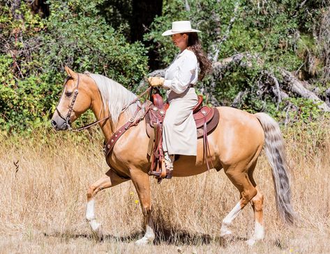 Cowboy Dressage Techniques for Training Correct Gaits Cowboy Dressage, Western Dressage, Equestrian Helmets, Equestrian Helmet, Types Of Horses, English Riding, Equestrian Boots, Riding Hats, Horse Blankets