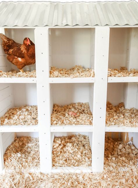 Cute Chicken Coops, Chicken Coop Garden, Chicken Shed, Chicken Barn, Chicken Coup, Backyard Chicken Coop Plans, Chicken Nesting Boxes, Diy Chicken Coop Plans, Chicken Coop Run