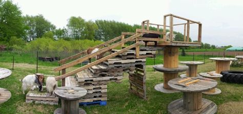 Goat structure. Pallet stairs onto wooden spools Pallet Shelter Ideas, Goat Houses, Play Grounds, Types Of Cows, Pallet Stairs, Goat Playground, Goat Shelter, Goat Pen, Goat House