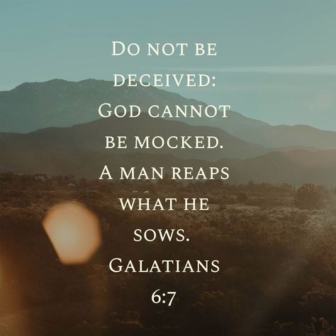 Do not be deceived: God can not be mocked. A man reaps what he sows. Galatians 6:7 A Man Reaps What He Sows, Mocking God Quotes, Do Not Be Deceived God Is Not Mocked, Do Not Mock God, God Cannot Be Mocked, God Will Not Be Mocked, Galatians 6 7, Hope In Jesus, Do Not Be Deceived