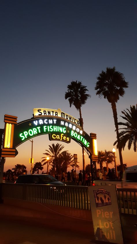 Santa Monica Aesthetic, Monica Aesthetic, Palm Trees Aesthetic, Santa Monica Sunset, Aesthetic Usa, Los Angeles Palm Trees, Trees Aesthetic, Sport Yacht, Palm Tree Sunset