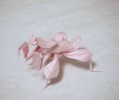 Orchid Praying Mantis | by Lonely-Shiba Bug Gym Leader, Orchid Praying Mantis, Origami Bugs, Origami Orchid, Building Sculpture, Paper Insects, Origami Insects, Origami Flower Bouquet, Cute Art Projects