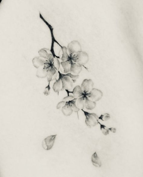 Cherry Blossom Tattoos Black And White, Black And White Sakura Tattoo, Cherry Blossom Wrist Tattoo Black And White, Chinese Flower Tattoo Blossoms, Weeping Cherry Tree Tattoo, Black And Grey Cherry Blossom Tattoo, Sakura Tattoo Black And White, Black And White Cherry Blossom Tattoo, Sakura Flower Tattoo Design