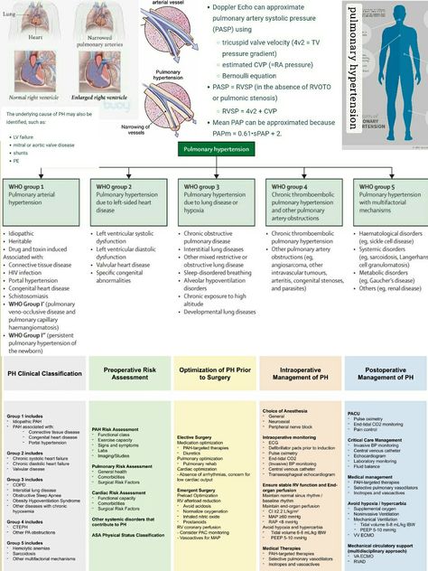 RVsP = PASP = 4(peak TR velocity)2 + RAP when there is no pulmonary stenosis. Pulmonary Stenosis, Tricuspid Valve, Disease, Rap, Medical, Quick Saves