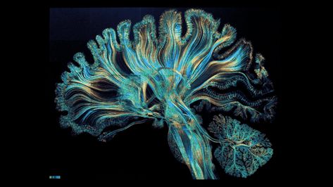 Neuroscience Aesthetic Wallpaper Desktop, Brain Wallpaper Desktop, Brain Waves Neuroscience, Neurosurgeon Aesthetic Wallpaper Laptop, Neuron Aesthetic, Human Brain Aesthetic, Neuro Wallpaper, Biotech Aesthetic, Neuroscience Wallpaper