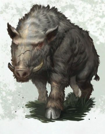 Boar | Warhammer Wiki | Fandom Fantasy Boar, Boar Art, Character Vibes, Warhammer Fantasy, Fantasy Rpg, Character Ideas, Dnd Characters, Fantasy Character Design, Old World