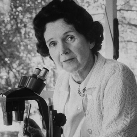 Rachel Carson was a marine biologist, environmentalist and writer who alerted the world to the environmental impact of fertilizers and pesticides. Rachel Carson Quotes, Rachel Carson, Environmental Movement, Environmental Activist, Marine Biologist, Johns Hopkins University, Who Runs The World, Marine Biology, Change The World