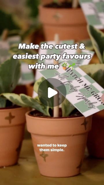 Ariana • Victoria’s Custom Sign Girl on Instagram: "THE EASIEST (& CUTEST) PARTY FAVOURS 🪴   This may have been my favourite part of this shower 🥹  This was such a simple, easy and budget friendly party favour and everyone loved them! This would be such a fun activity to do at a smaller shower - everyone gets a new little plant baby to take home and watch grow as the baby grows, and you get to make a custom little pot to commemorate the day by! These came out to about $2.00CAD per favour - factor a little bit more into your budget if you’re gathering painting supplies as a shower activity!   All you need is:  - mini clay pots from the dollar store or @michaelsstores  - 2” tropical plants from your local nursery, @canadiantire or @homedepot / @homedepotcanada  - paint, stickers or whateve Diy Plant Party Favors, Coaster Baby Shower Favors, Mini Plant Favors, Mini Clay Pots, Mini Potted Plants Party Favors, Watch Me Grow Succulent Favor, Decorating Terra Cotta Pots, Garden Baby Shower Theme, Easy Party Favor