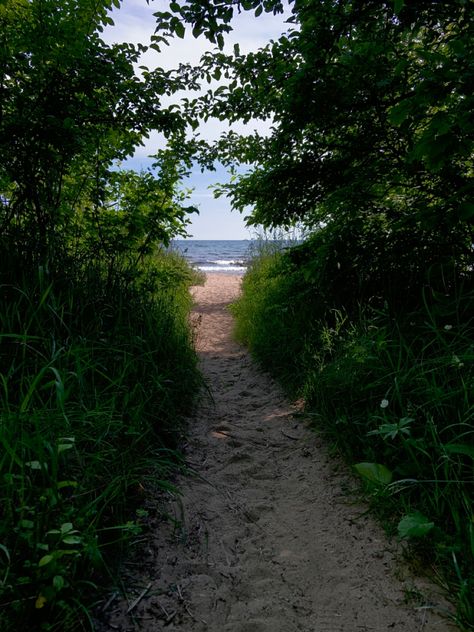 Beach Next To Forest, Forest By The Sea, Pjo Fanfic, Beach Forest, Caribbean Life, Beach Path, House Landscaping, Inspo Pics, Secluded Beach