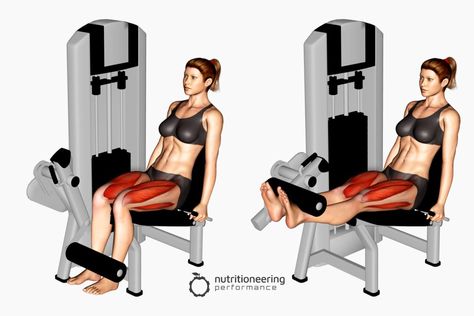 Leg Exercise Machines for Quads Compound Leg Exercises, Leg Machine Workout, Leg Day Workout, Exercise Machines, Squat Press, Leg Exercise, Best Leg Workout, Calf Exercises, Leg Press Machine