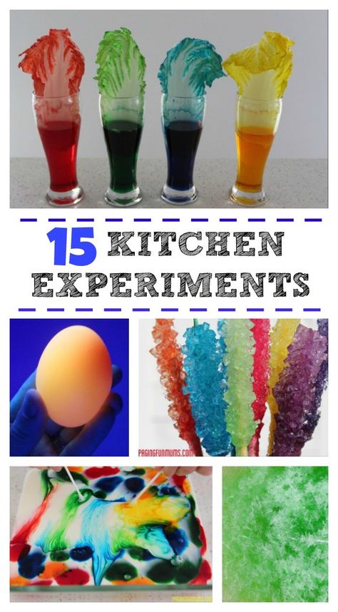 Experiments For Kids, Science Crafts, Kid Experiments, Fun Kitchen, Cool Science Experiments, Day Camp, Easy Science, Preschool Science, Science Experiments Kids