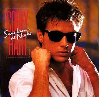 X 80s Rock Fashion, Sunglasses At Night, Corey Hart, Bette Davis Eyes, Album Sleeves, Vinyl Record Collection, The Knack, Summer Cookouts, Happy 60th Birthday