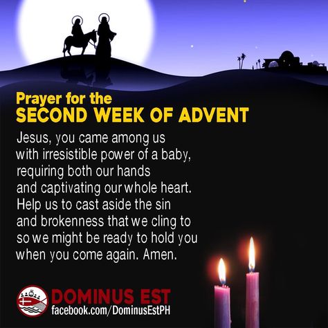 2nd Sunday Of Advent Peace, Second Sunday Of Advent Peace, Advent Week 2 Peace, Second Advent Sunday, Second Week Of Advent, Second Sunday Of Advent, Advent Catholic, Birthday Wishes For A Friend Messages, Advent Prayers