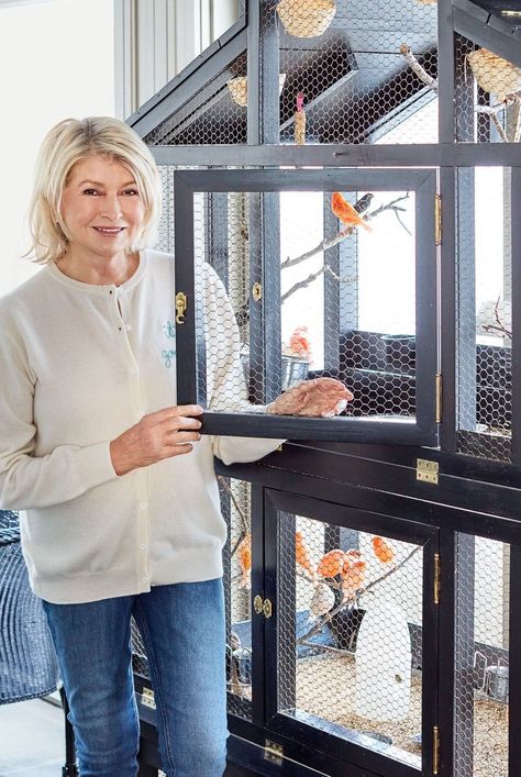 Our founder Martha Stewart shares her best advice for raising and owning dogs, cats, birds, and other animals to get along at home. #diypets #diyprojects #marthastewart #petbeds #petfurniture #pets Dog Whining, Diy Bird Cage, Bird Cage Design, Backyard Coop, Blue Parakeet, Parakeet Cage, Pet Bird Cage, Marley Spoon, Cat Proofing