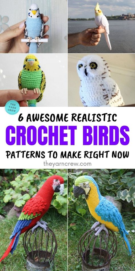 6 Awesome Realistic Crochet Bird Patterns To Make Right Now. Realistic Crochet Bird Patterns To Make Right Now curated by The Yarn Crew. Crochet Amiguri, Handmade Bird Toys, Realistic Crochet, Crochet Parrot, Crochet Bird, Crochet Bird Patterns, Crochet Hippo, Craft Crochet, Crochet Birds