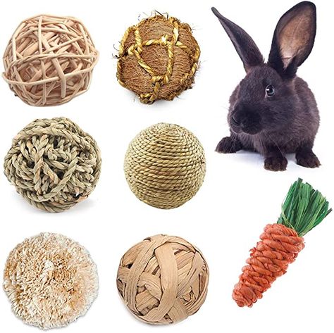 Bunny Supplies, Bunny Activities, Bunny Room, Pet Ball, Pet Bunny Rabbits, Bunny Stuff, Rabbit Cages, Bunny Care, Pet Guinea Pigs