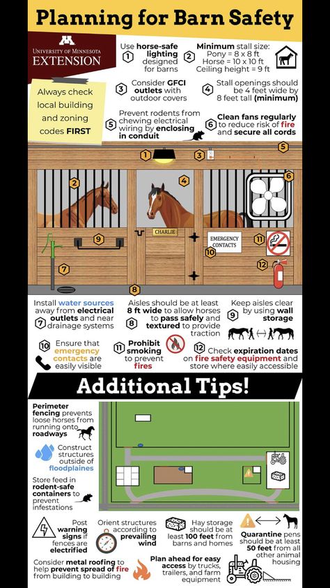 Small Equestrian Property Layout, Horse Yard Layout, Small Horse Property Layout, Pole Barn Horse Barns, Horse Boarding Business, Small Horse Farm Layout, Horse Farm Layout With House, Horse Property Layout, Horse Paddock Ideas