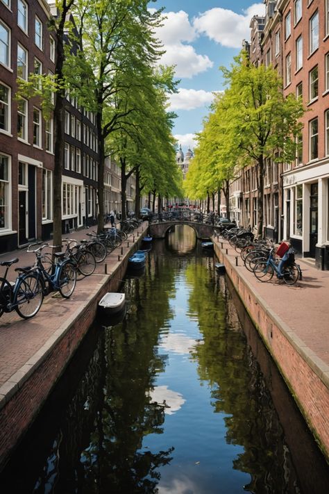 Discover the Top 7 Things to Do in Amsterdam! Things To Do In Amsterdam, To Do In Amsterdam, Floating Flower, Open Air Theater, Anne Frank House, Amsterdam Canals, Red Light District, Van Gogh Museum, Drawing Stuff