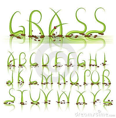 Reflection Illustration, Nature Alphabet, Journaling Techniques, Grass Vector, Vector Alphabet, Abc Art, Calligraphy Tutorial, Hand Lettering Drawing, Graffiti Alphabet