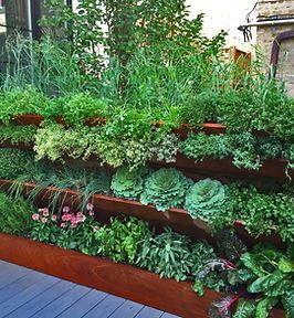 Herb Wall, Vertical Vegetable Garden, Vegetable Garden Raised Beds, Vertical Herb Garden, Vertical Gardening, Veg Garden, Vegetable Garden Design, Rooftop Garden, Raised Bed