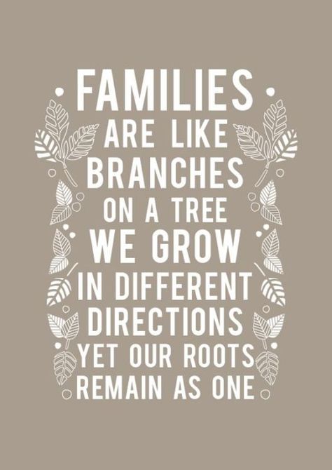 Top 25 Family Quotes and Sayings #Family quotes #Sayings Photo Book Quotes, Familia Quotes, Quotes About Attitude, Family Reunion Photos, Cousin Quotes, Quotes Family, Love My Family, Family Quotes, Family Reunion