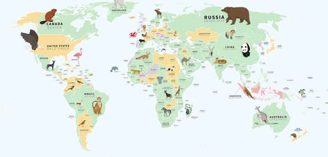 Every country’s national animal and their conservation status, mapped Masai Giraffe, Canadian Horse, Elephant Ride, Hairless Dog, Animal Conservation, Australia Animals, National Animal, Animal Symbolism, National Symbols