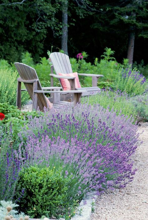 Water Saving Landscape, Water Wise Plants, Drought Tolerant Perennials, Drought Tolerant Garden, Garden Water Feature, Gardens Ideas, Drought Tolerant Landscape, Garden Plan, Sloped Garden