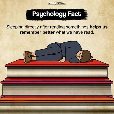 Sleeping Directly After Reading Somethings #sleeping #facts #psychologyfacts #humanpsychology **Study Link in post Sleeping Facts, Interesting Facts About Humans, Physcology Facts, Psychology Fact, Psychology 101, Physiological Facts, Facts About Humans, Psychology Notes, Psychological Facts Interesting