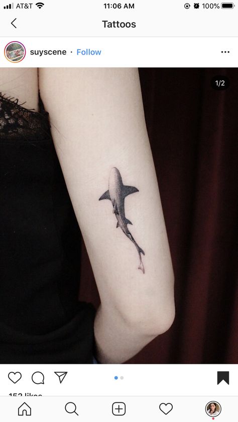 Micro Shark Tattoo, Shark Tattoo Arm, Shark Tattoos For Women, Small Shark Tattoo, Hai Tattoo, Shark Images, Small Tats, Whale Tattoos, Water Tattoo