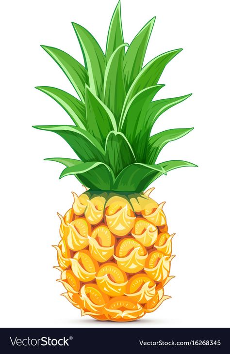 Pineapple with green leaf Royalty Free Vector Image Pineapple Illustration, Fruit Clipart, Flamingo Birthday Party, Leaf Clipart, Fruit Decorations, Fruit Illustration, Leaves Vector, Tropical Fruits, Art Drawings For Kids