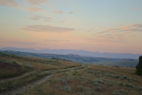 spiritofthesunserpent: “ Summer in Montana Summer 2014 ” Dirt Road, Pretty Places, Photography Lovers, Aesthetic Photography, Nature Pictures, Beautiful World, Beautiful Landscapes, In The Middle, Happy Places