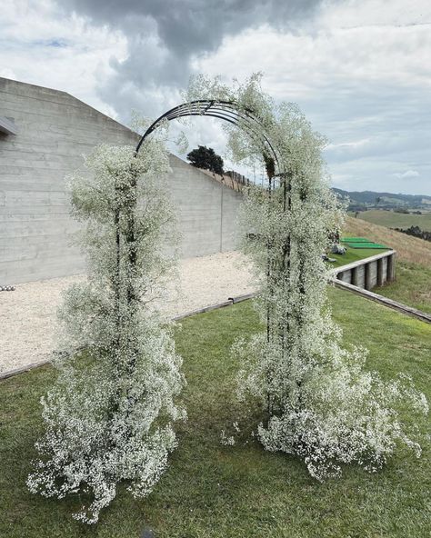 Leaf And Honey (@leafandhoney) • Instagram photos and videos Round Arch Decoration Wedding, Baby Breath Wedding, Floral Arches, Gypsophila Wedding, Los Cabos Wedding, Madison Wedding, Arch Decoration, Arch Flowers, Arch Decoration Wedding