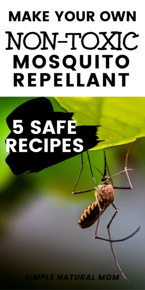 Want some recipes for natural remedies to make your own mosquito repellant spray? You can use simple ingredients like vinegar, essential oils and other non-toxic solutions you might already have in your house. #crunchy #nontoxic #mosquitospray Essential Oils For Mosquitoes, Homemade Mosquito Spray, Homemade Mosquito Repellent, Mosquito Repellent For Babies, Mosquito Repellent Essential Oils, Remedies For Mosquito Bites, Repellent Diy, Mosquitoes Remedies, How To Make Macaroni