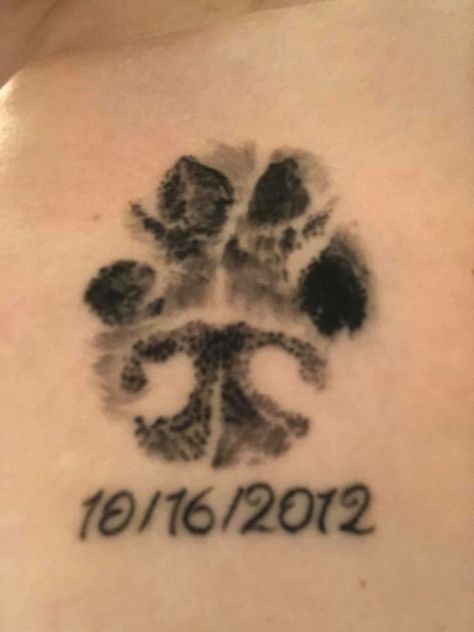 Dog Nose Print Tattoo, Nose Tattoo, Pet Memorial Tattoo, Dog Print Tattoo, Dog Memorial Tattoos, Pawprint Tattoo, Clover Tattoos, Paw Tattoo, Ornamental Tattoo