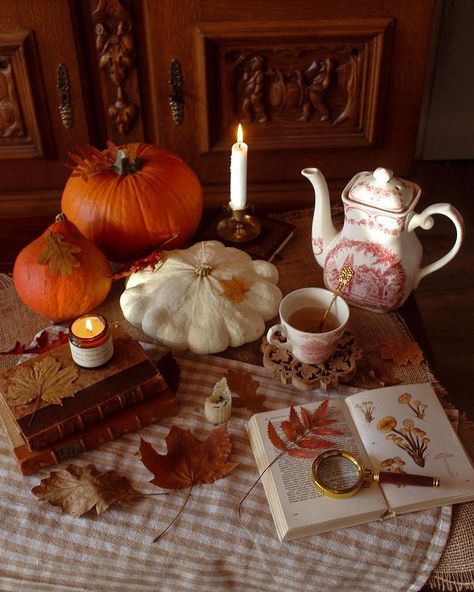 Autumn Songs, Pumpkin Spice Tea, Fall Songs, Ready For Autumn, Pumpkin Tea, Autumn Tea, Autumn Magic, Spice Tea, Autumn Lights