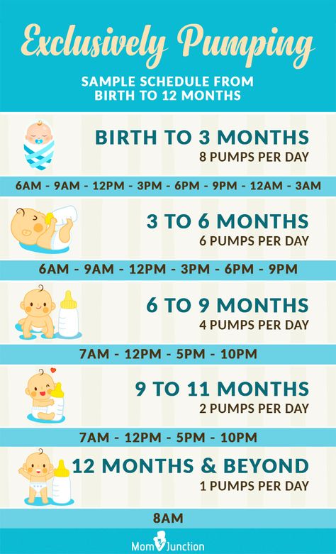 Breastfeeding Schedule, Baby Trivia, Pumping Schedule, Newborn Schedule, Baby Routine, Baby Information, Exclusively Pumping, Baby Schedule, Baby News