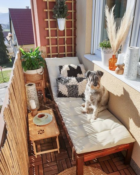 21 Cozy and Stylish Small Balcony Design Ideas French Country Balcony Ideas, Juliet Balcony Decor, Dog Balcony Apartment, Balcony Small Ideas, Klein Balkon Decor, Narrow Balcony, Balkon Decor, Tiny Balcony, Balcony Design Ideas