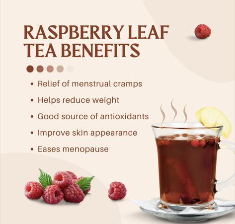 Red Raspberry Leaf Tea Benefits Period, Raspberry Tea Benefits Period, Red Clover Tea Benefits, Raspberry Tea Benefits, Cranberry Tea Benefits, Raspberry Tea Recipe, Red Raspberry Leaf Tea Benefits, Benefits Of Raspberry Leaf Tea, Rasberry Leaf Tea