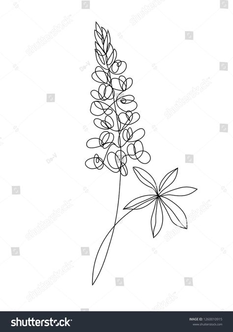 Lupine flower one line drawing. Minimalist art. #Ad , #ad, #line#flower#Lupine#art Lupine Line Art, Wisteria Line Art, Bluebonnet Line Drawing, Wisteria Symbol, Lupin Tattoo Flowers, Lupine Flower Tattoo, Lupin Drawing, Lupine Flowers Tattoo, Lupine Drawing